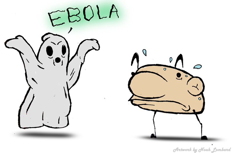 Ebola scare comes into question