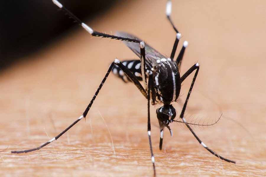 The virus is mosquito born and has been found across North and South America.