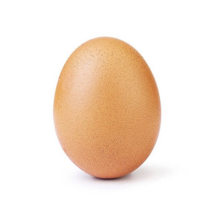 Egg+beats+Kylie+Jenner%27s+baby+post+to+set+a+world+record.+