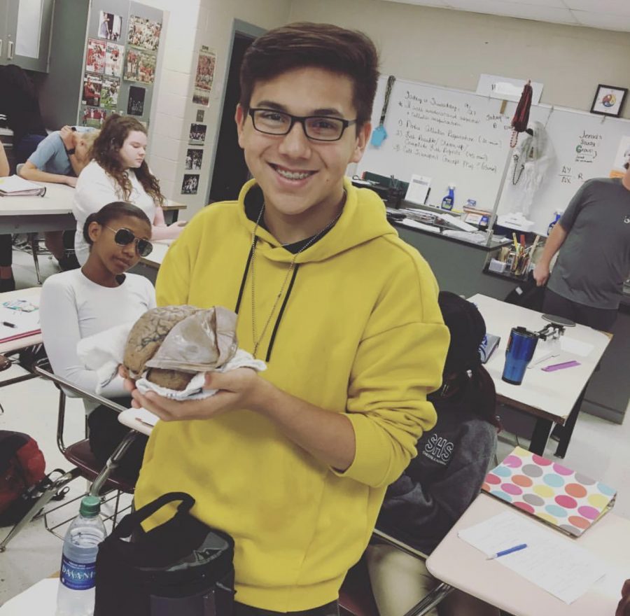 Sophomore+Tommy+King+shows+off+a+brain.+Something+that+he+uses+as+a+music+prodigy.+
