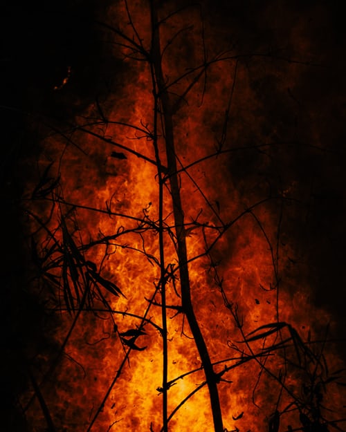 fire (1)