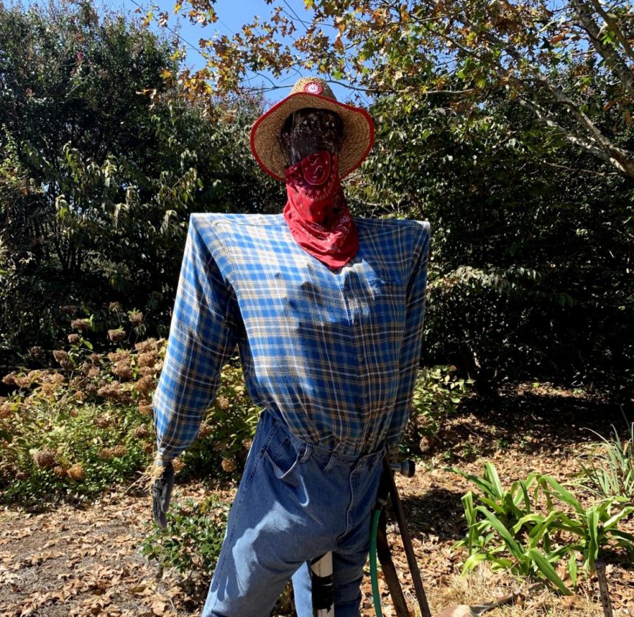 Huntsville Scarecrow Trail Leaves Student Amazed