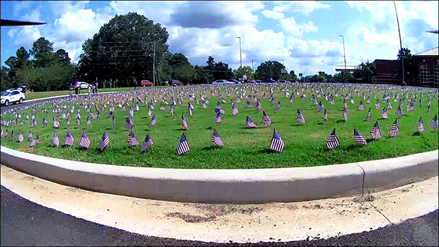 Flags decorate the campus. 