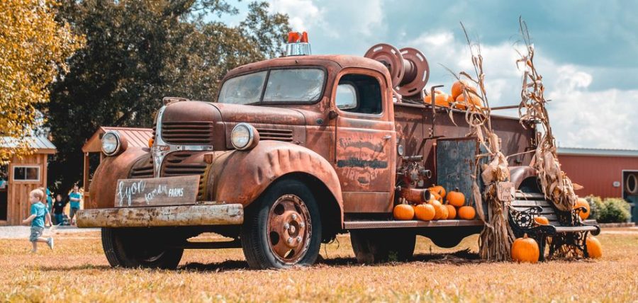 Lyons Farms uses plenty of decor to make a visit seem the perfect place to get in the fall mood. 