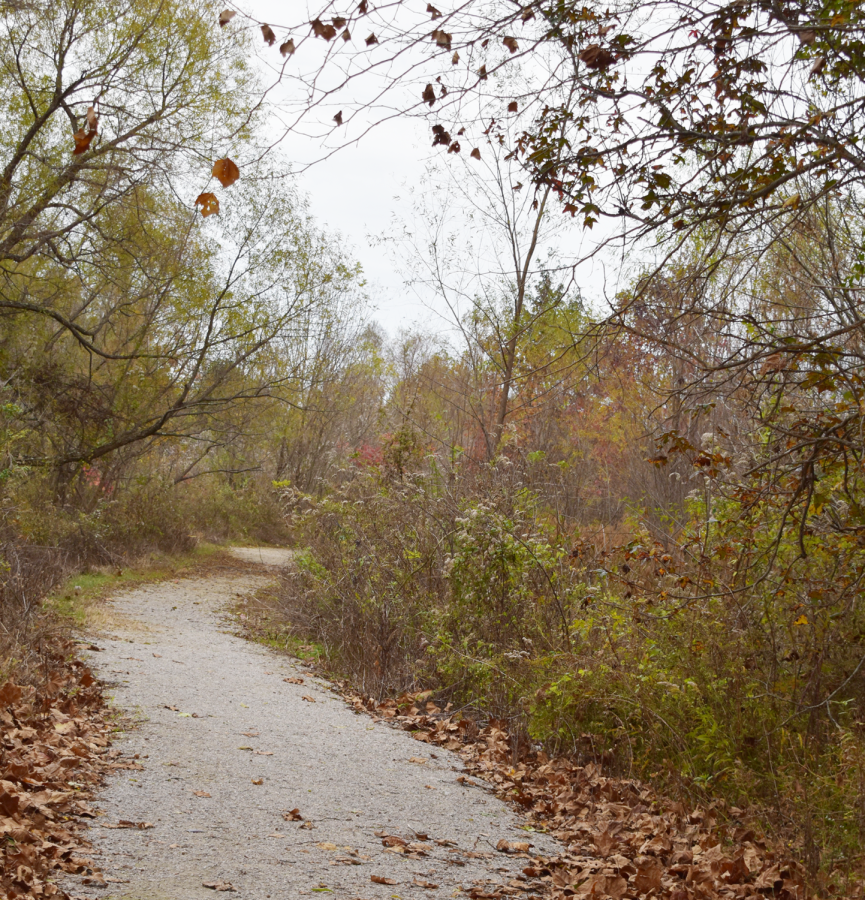 Staff Gives Advice on How to Enjoy the Fall Season