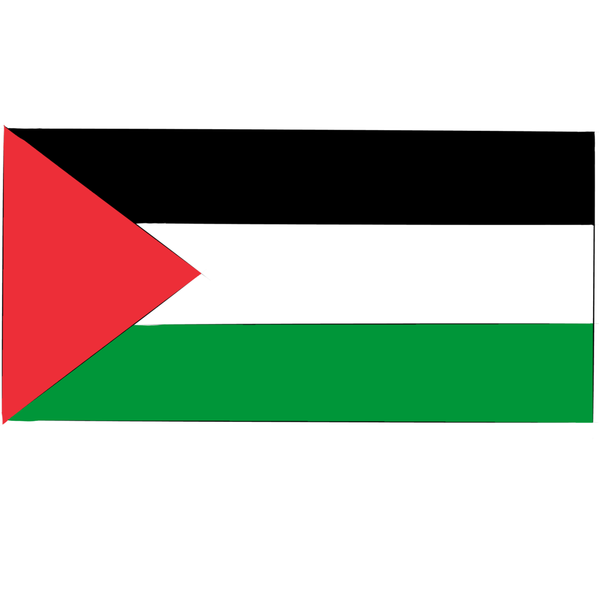 Sophomore Shares View on Tragedy in Palestine
