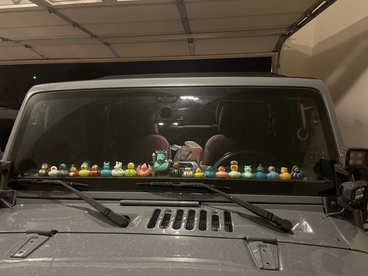 Jeeps and Ducks: Sophomore Explains the Jeep-Duck Phenomenon