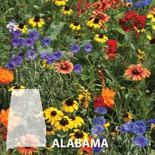 The state of Alabama celebrates wildflower week yearly in May. 