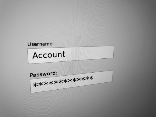 Password Protection Should Be High Priority Everyday