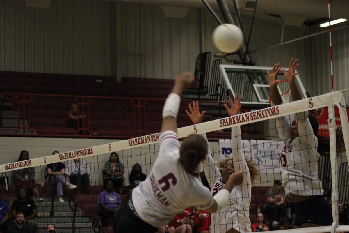 Photo by: Christopher Castro (Yearbook Staff)