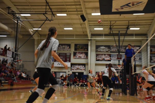 More Coverage on Girls Sports